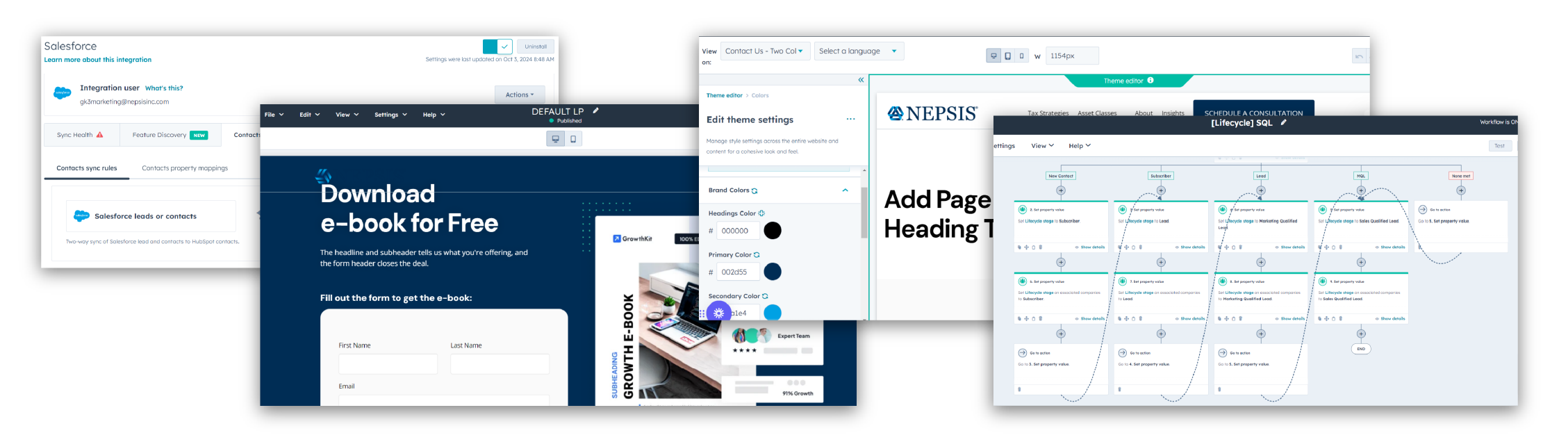 42533 Nepsis hubspot implementation page header image 5 (1)